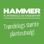 Sponsor logo #5